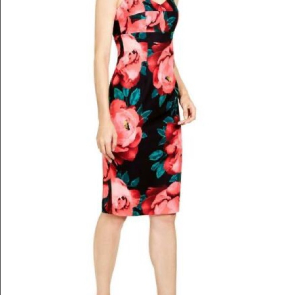 NWT Trina Turk floral sheath dress, sz 8&10